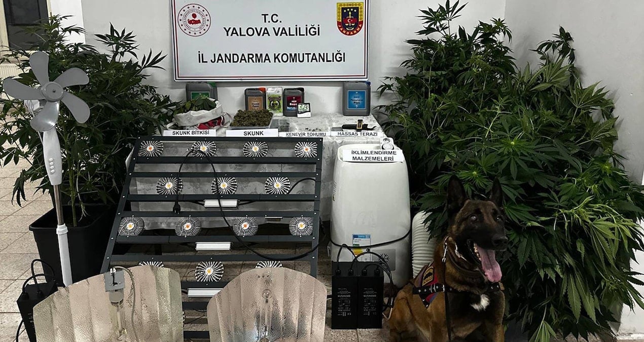 yalovada-evinde-uyusturucu-yetistiren-supheli-tutuklandi-T1sHMzWd.jpg