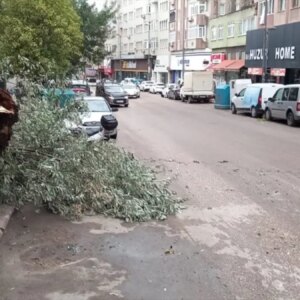 balikesirde firtina agaclari devrildi cCKRB2Ol