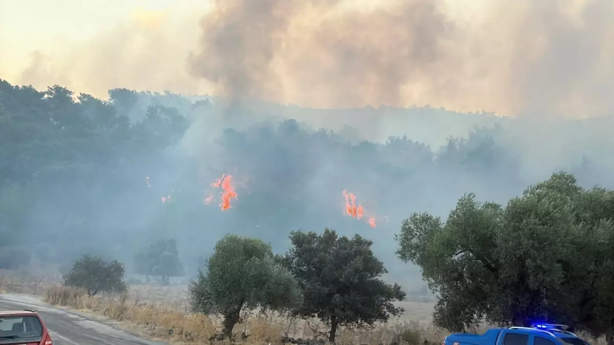 milasta orman yanginina hava mudahalesi xtGYke2G