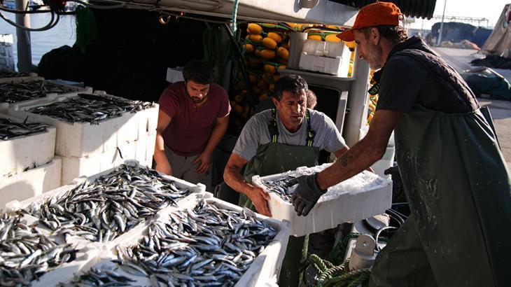 egede sardalya bereketi bu sene bolluk yasaniyor YwGC5PmW.jpg