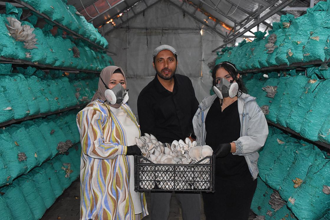 kadin girisimci cadir seralarda yilda 40 ton istiridye mantari uretiyor IQ5YwEh6.jpg