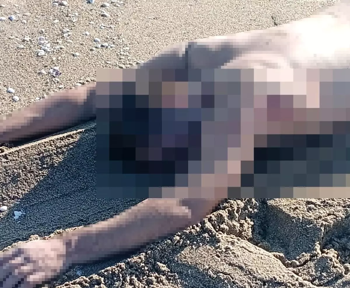 sakaryada ciplak erkek cesedi bulundu Mr84bCzE