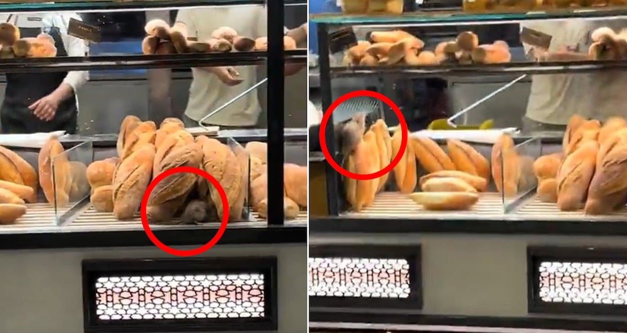 firinda cekilen bu goruntuyu paylasmamasi icin 420 bin lira teklif edildi YWfmgDgL.jpg