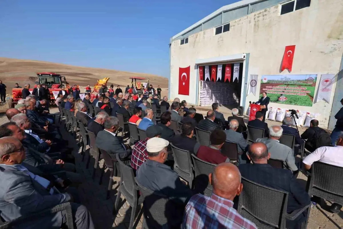 siirtte 203 ton kirmizi mercimek ciftcilere dagitildi MMxiWESe.jpg