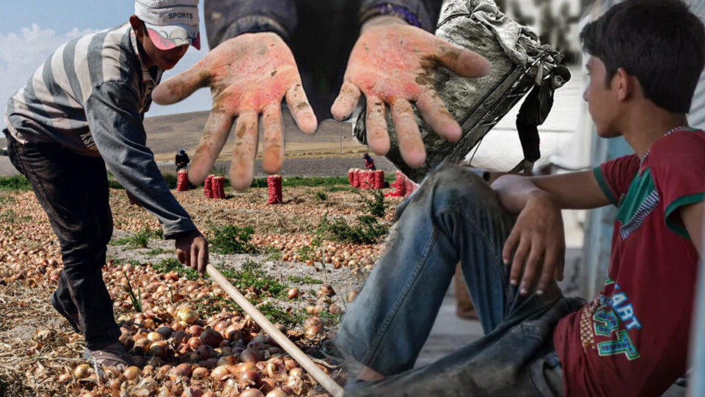 turkiyenin-kanayan-yarasi-cocuk-isciliginin-karanlik-tablosu-2Wv9VyTZ