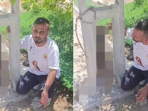Sahipli kopegi zehirleyip direge asarak oldurduler bunun adi vahset cPKcSKEK